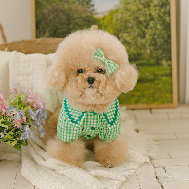 Spring Checkered Blouse