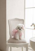 Load image into Gallery viewer, Yuhwa Hanbok Dress
