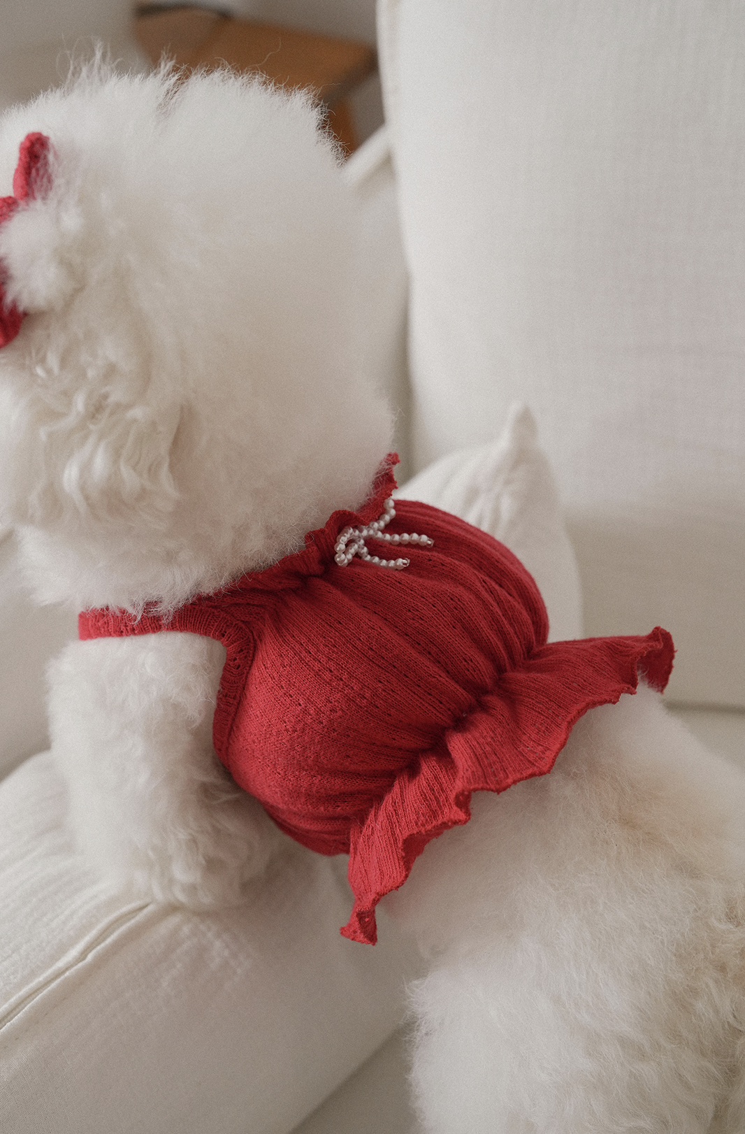 Jambon Beurre Bustier