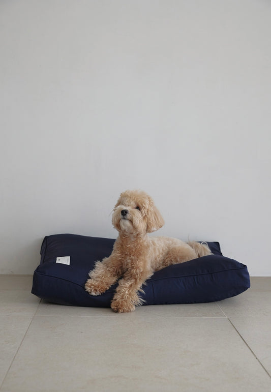 Soft cushion bed (3color)