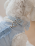 Load image into Gallery viewer, My Favorite Color Leash - Baby Blue
