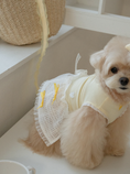 Load image into Gallery viewer, My Favorite Color Ops - Yellow
