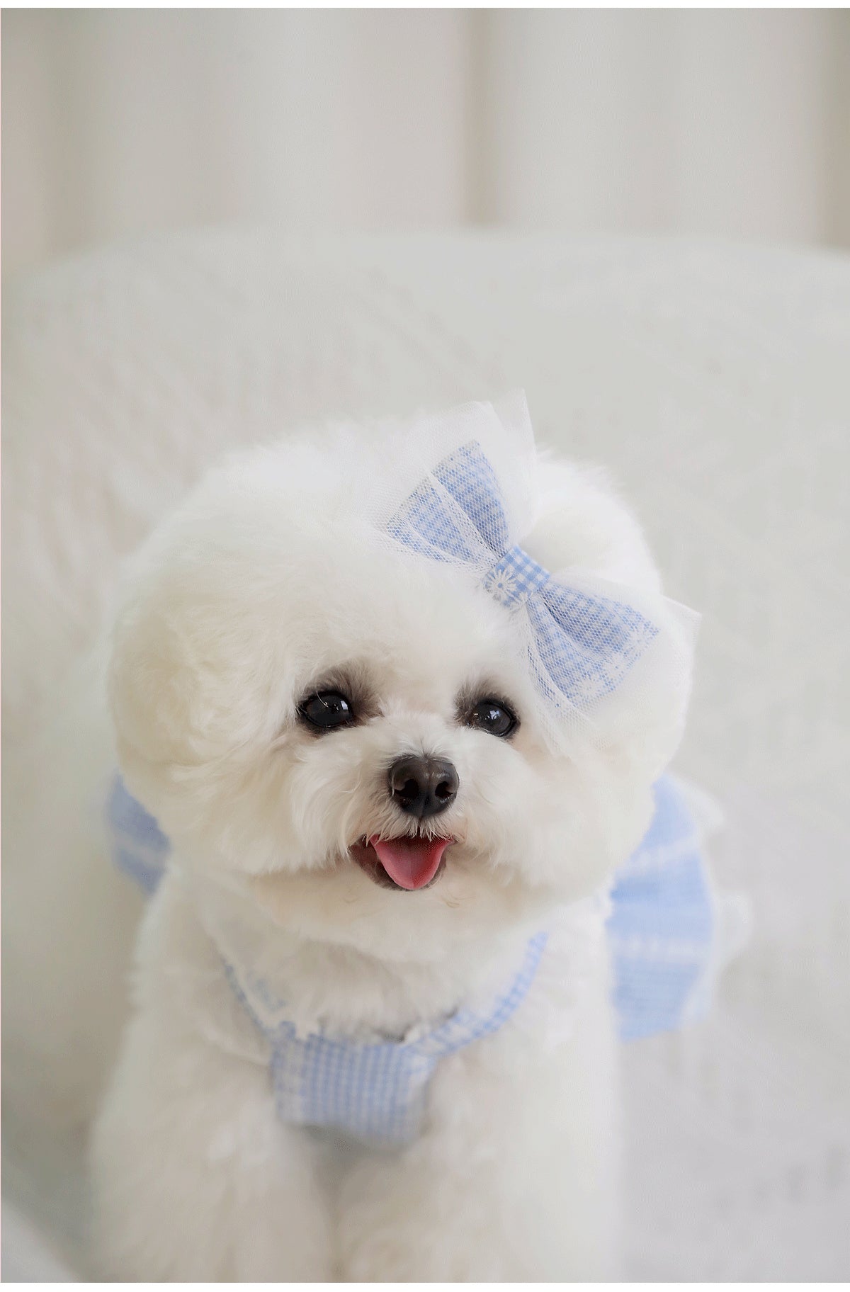 Marine check chiffon hair ribbon pin (2 colors)
