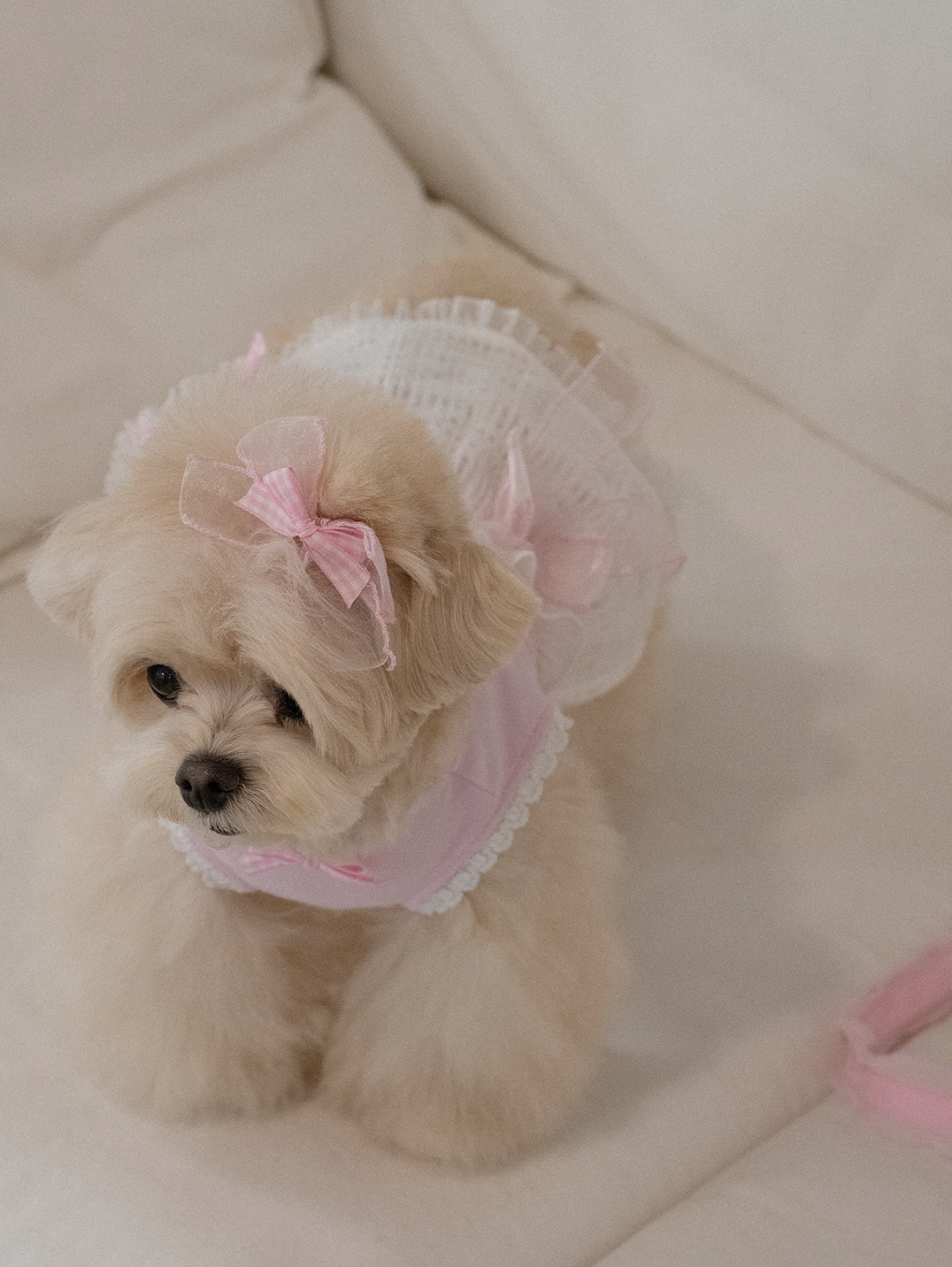 My Favorite Color Hairpin - Pink
