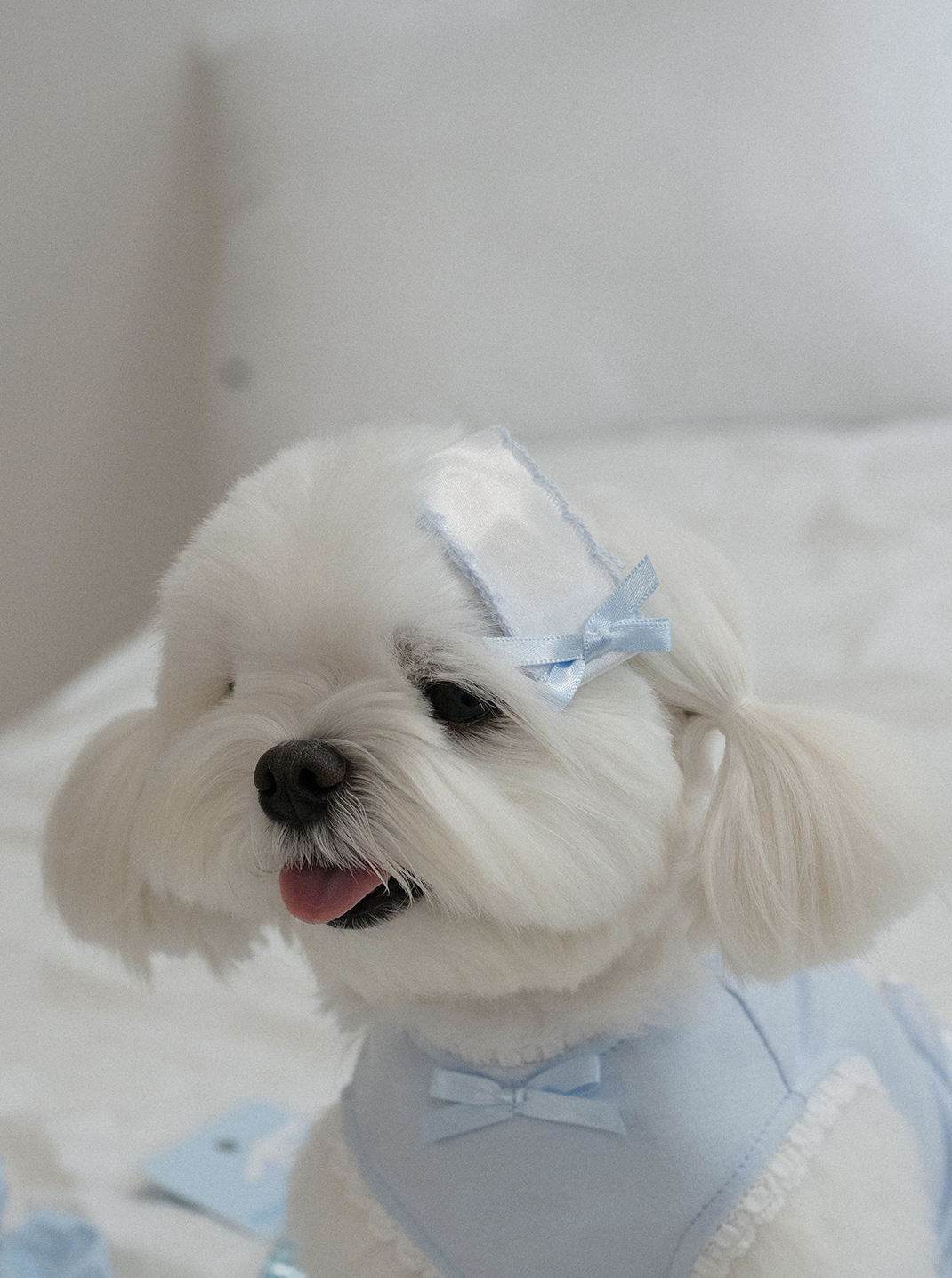 My Favorite Color Hairpin - Baby Blue