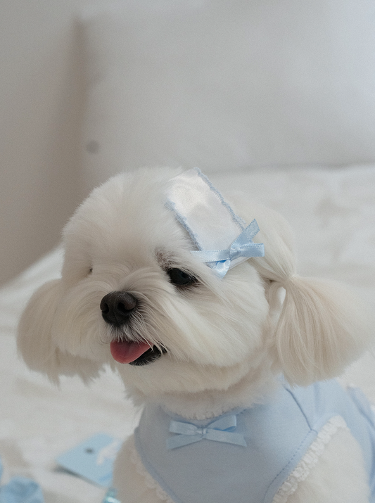 My Favorite Color Hairpin - Baby Blue