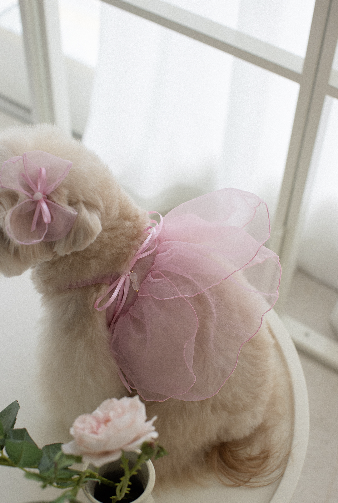 Petals In Watercolor Hanbok Hairpin 2025 New Colours