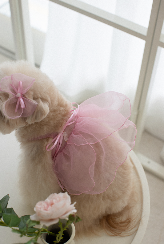 Petals In Watercolor Hanbok Hairpin 2025 New Colours