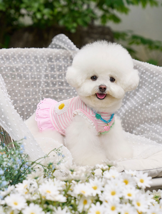 Daisy Stripe Ops - Baby Pink