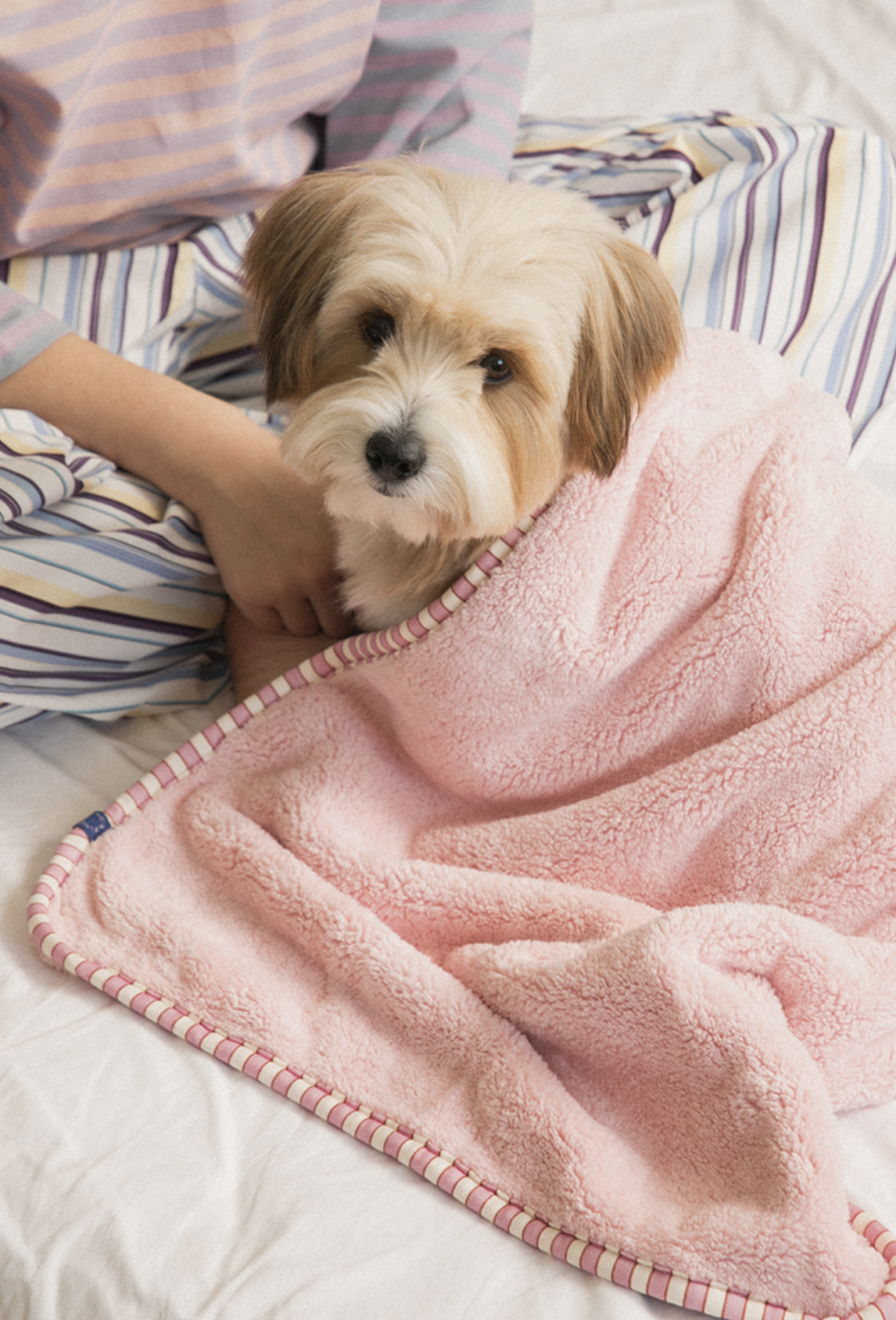 Bite Me x Finca Dry Me Microfibre Pet Towel