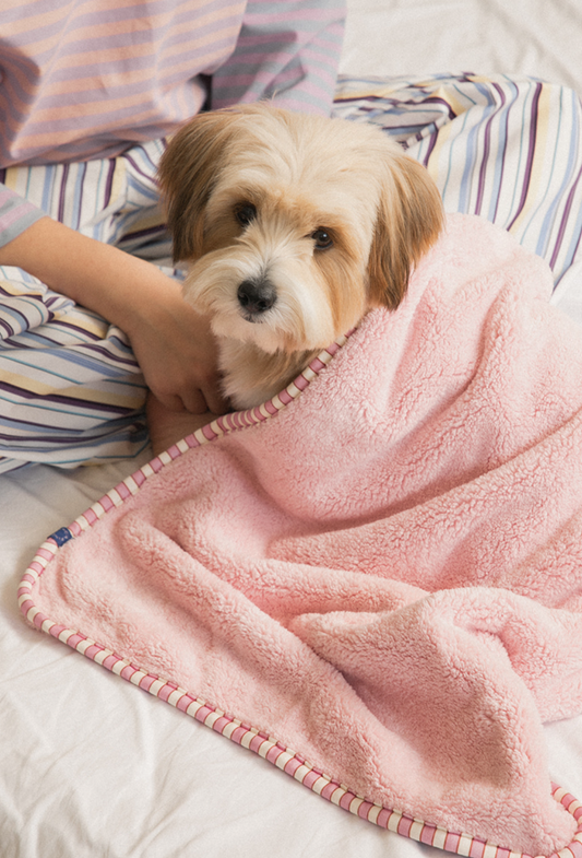 Bite Me x Finca Dry Me Microfibre Pet Towel