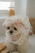 Load image into Gallery viewer, Maison De Monet Lace Hairpin
