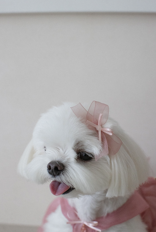 Yuhwa Hairpin