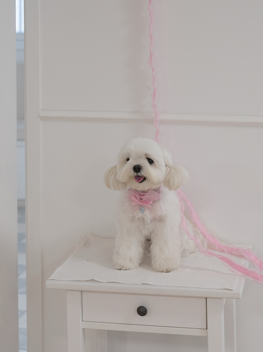 My Favorite Color Leash - Pink