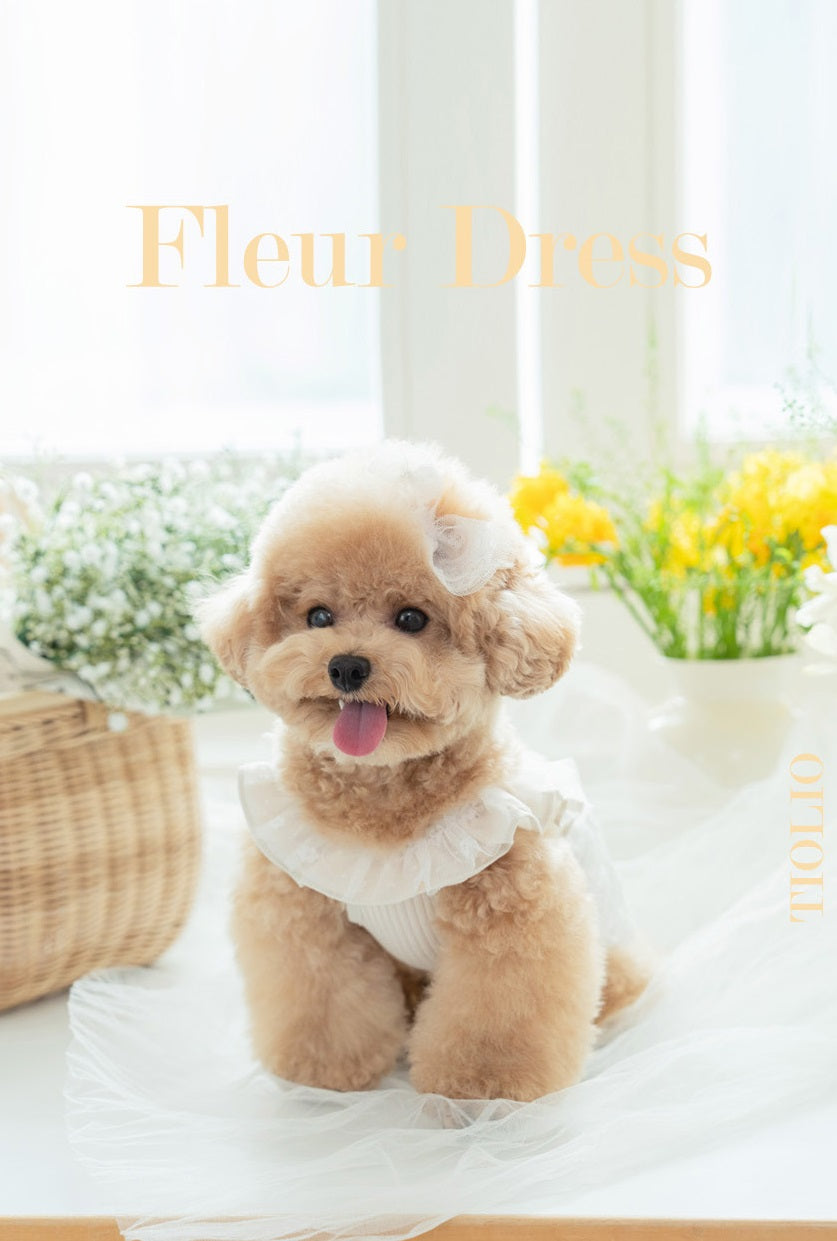 Fleur Dress (2 color)