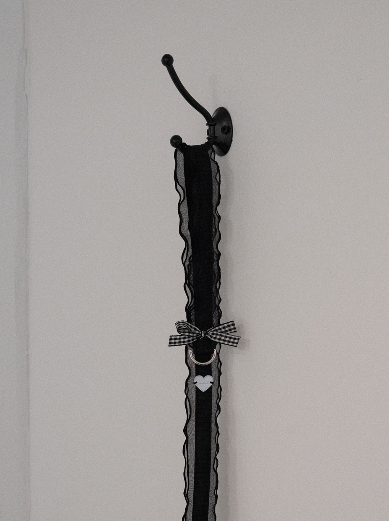 My Favorite Color Leash - Black