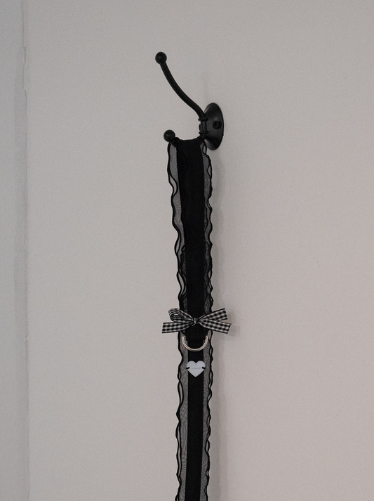 My Favorite Color Leash - Black