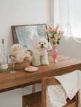 Load image into Gallery viewer, Rose Smoothie Double-Sided Lace Blanket
