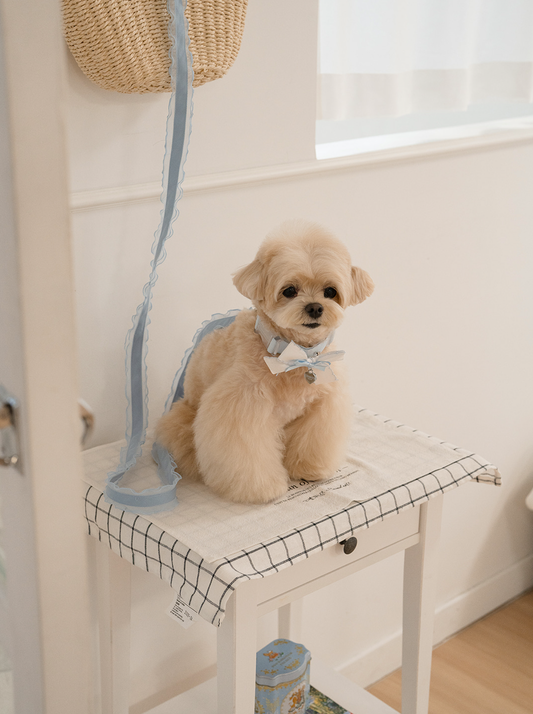 My Favorite Color Collar - Baby Blue