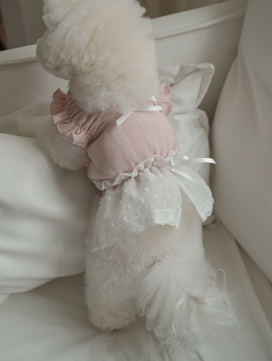 Pink Ballerina Chiffon Skirt