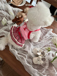 Load image into Gallery viewer, Soleil Bear Crop

