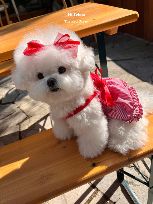 The Red Dress