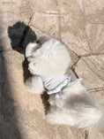 Load image into Gallery viewer, Sienna Silver Crop
