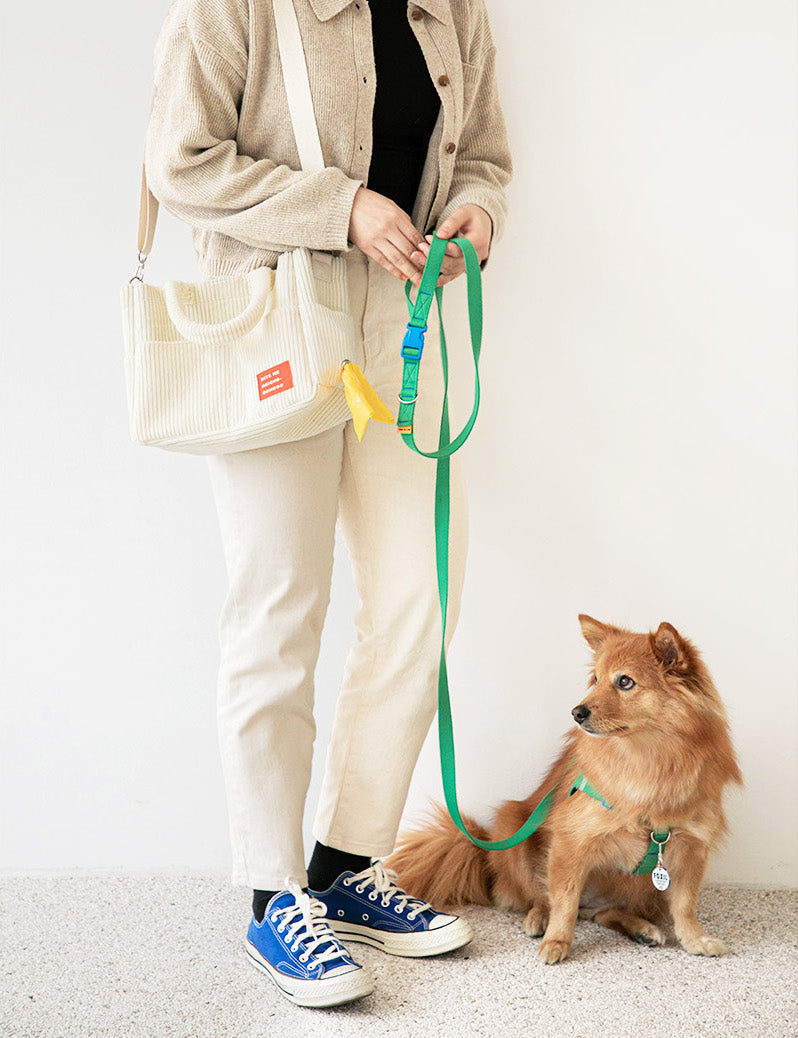 All Day Corduroy Walking Bag