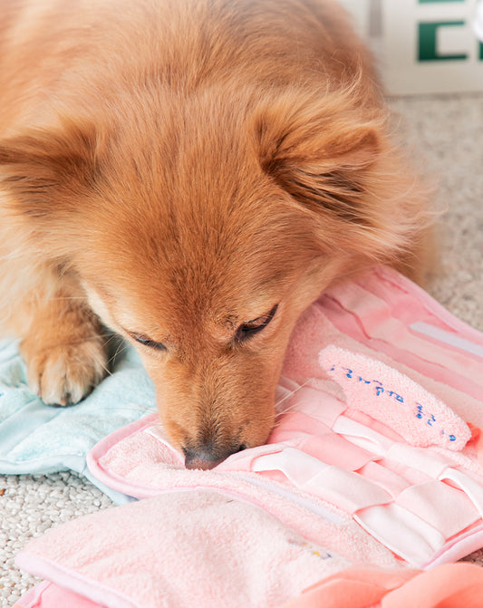 Towel Nosework Toy