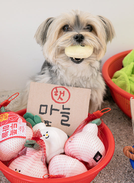 Garlic Nosework Toy