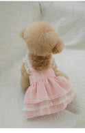 Marine Check Chiffon (2 colors)