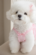 Load image into Gallery viewer, Yuhwa Hanbok Dress
