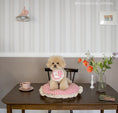 Load image into Gallery viewer, Sunday Cushion
