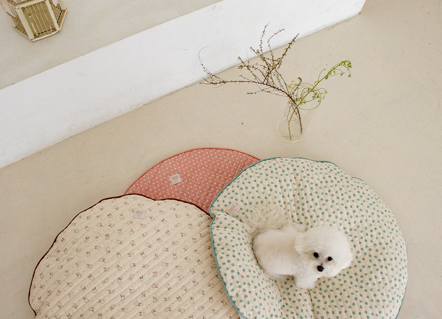 Dreamland Cushion