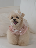 Load image into Gallery viewer, Ballerina Lace Ribbon Hairpin
