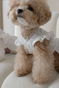 Load image into Gallery viewer, Baekhwa Hanbok Blouse
