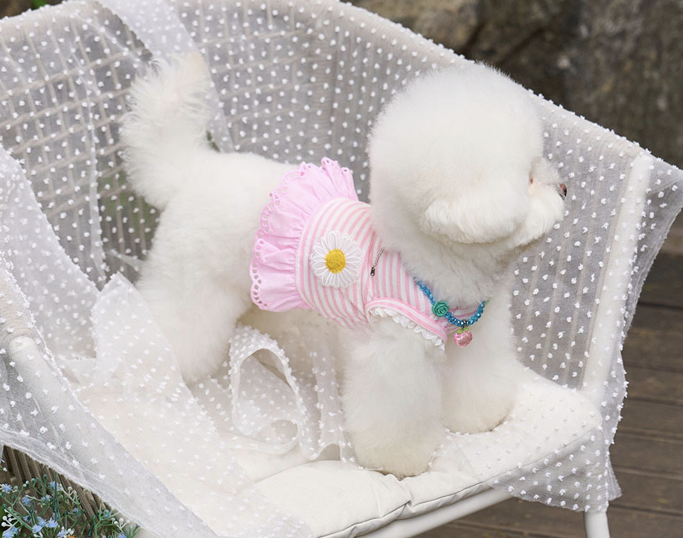 Daisy Stripe Ops - Baby Pink