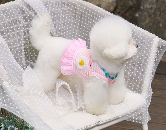 Daisy Stripe Ops - Baby Pink