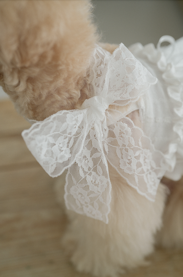 Spring Time Scarf Dress
