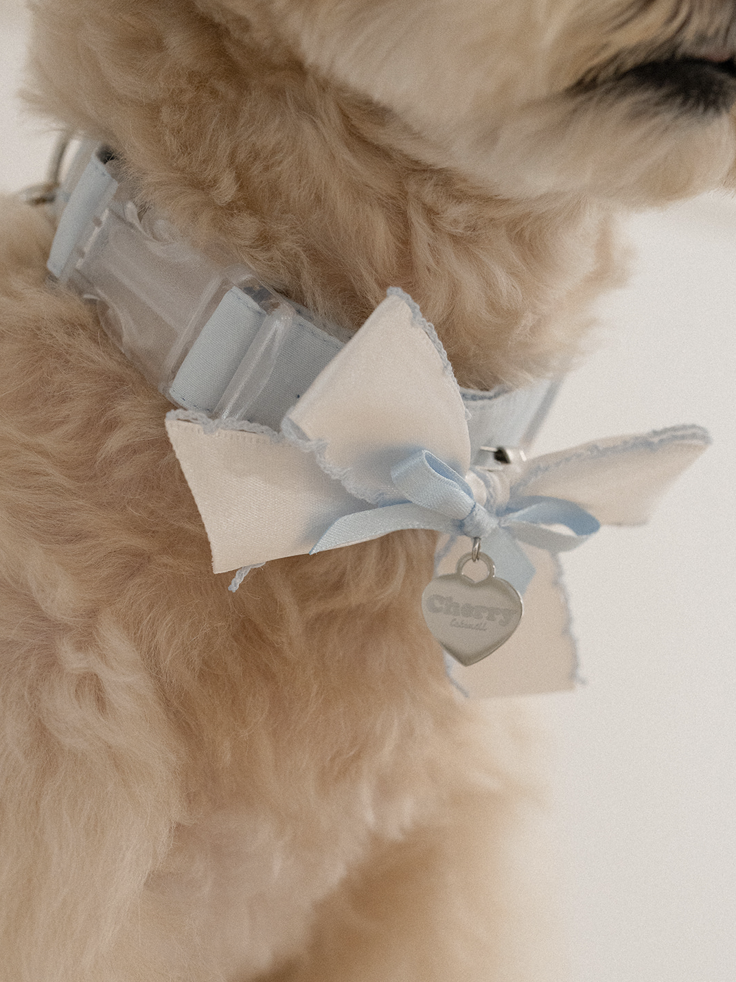 My Favorite Color Collar - Baby Blue