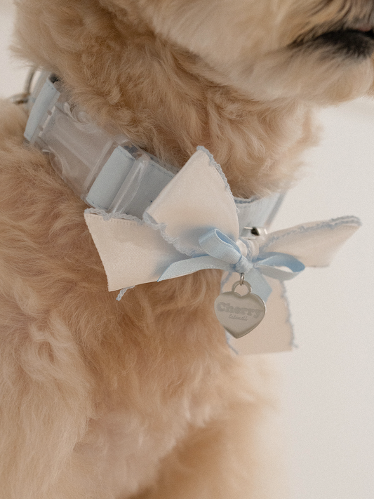 My Favorite Color Collar - Baby Blue