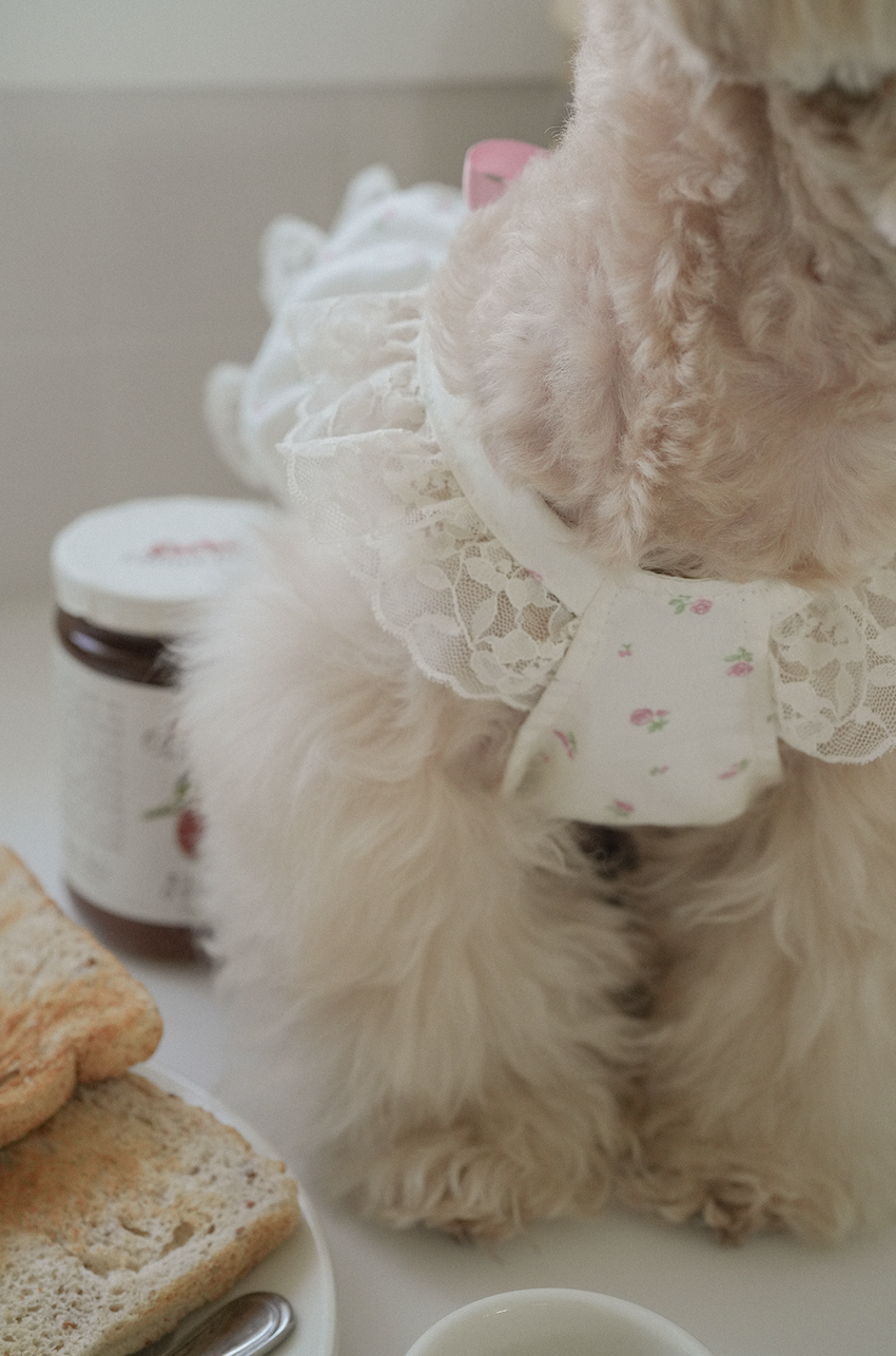 Maison De Monet Lace Ribbon Dress