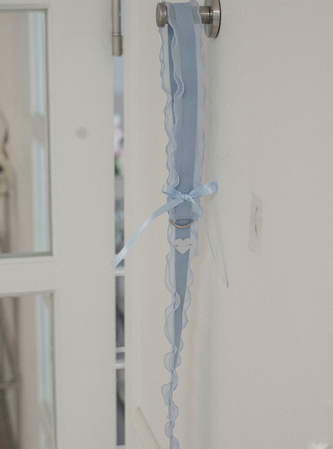 My Favorite Color Leash - Baby Blue