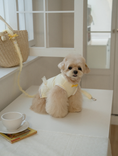 Load image into Gallery viewer, My Favorite Color Sleeveless - Yellow
