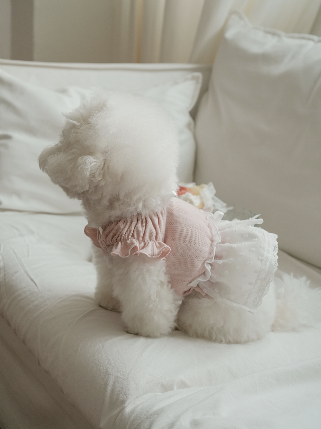 Pink Ballerina Chiffon Skirt