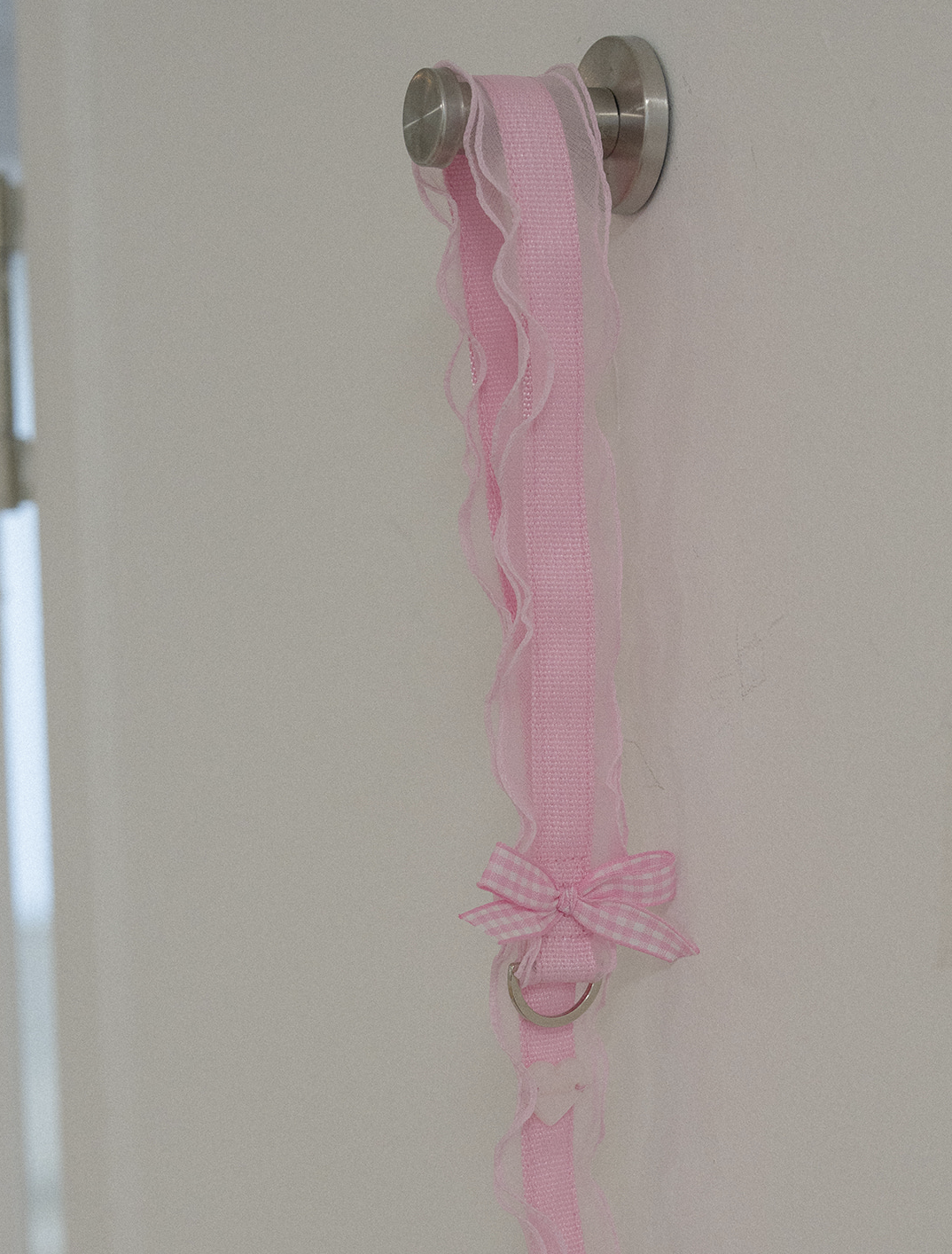 My Favorite Color Leash - Pink