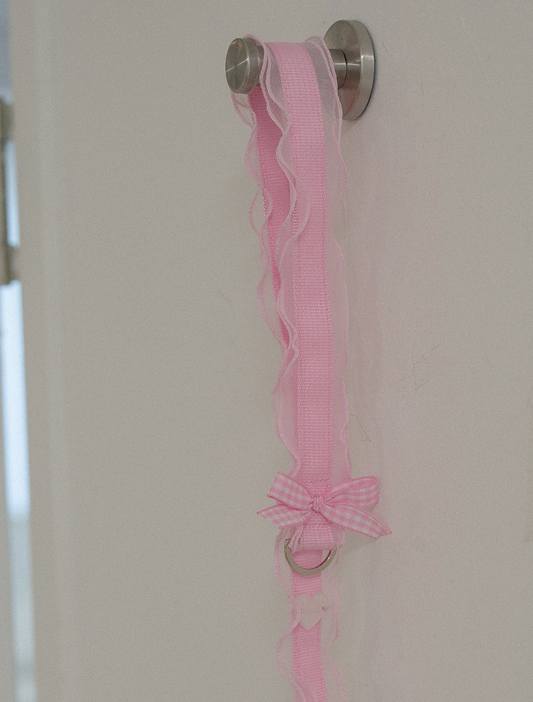 My Favorite Color Leash - Pink