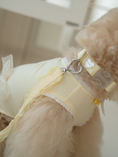 Load image into Gallery viewer, My Favorite Color Leash - Yellow
