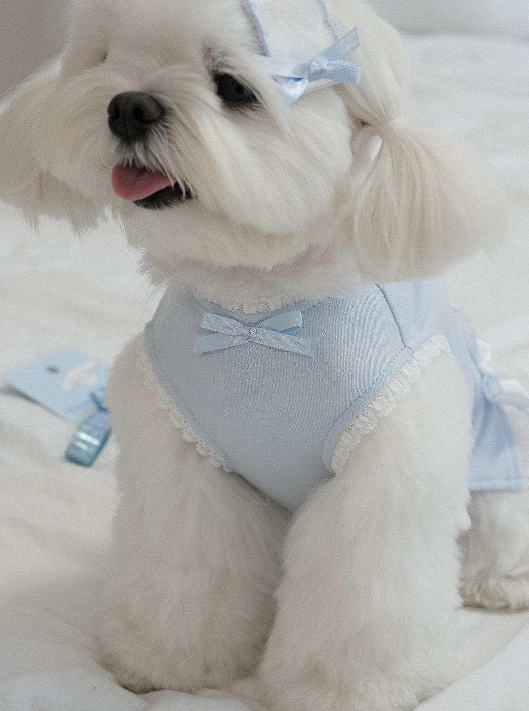 My Favorite Color Sleeveless - Baby Blue