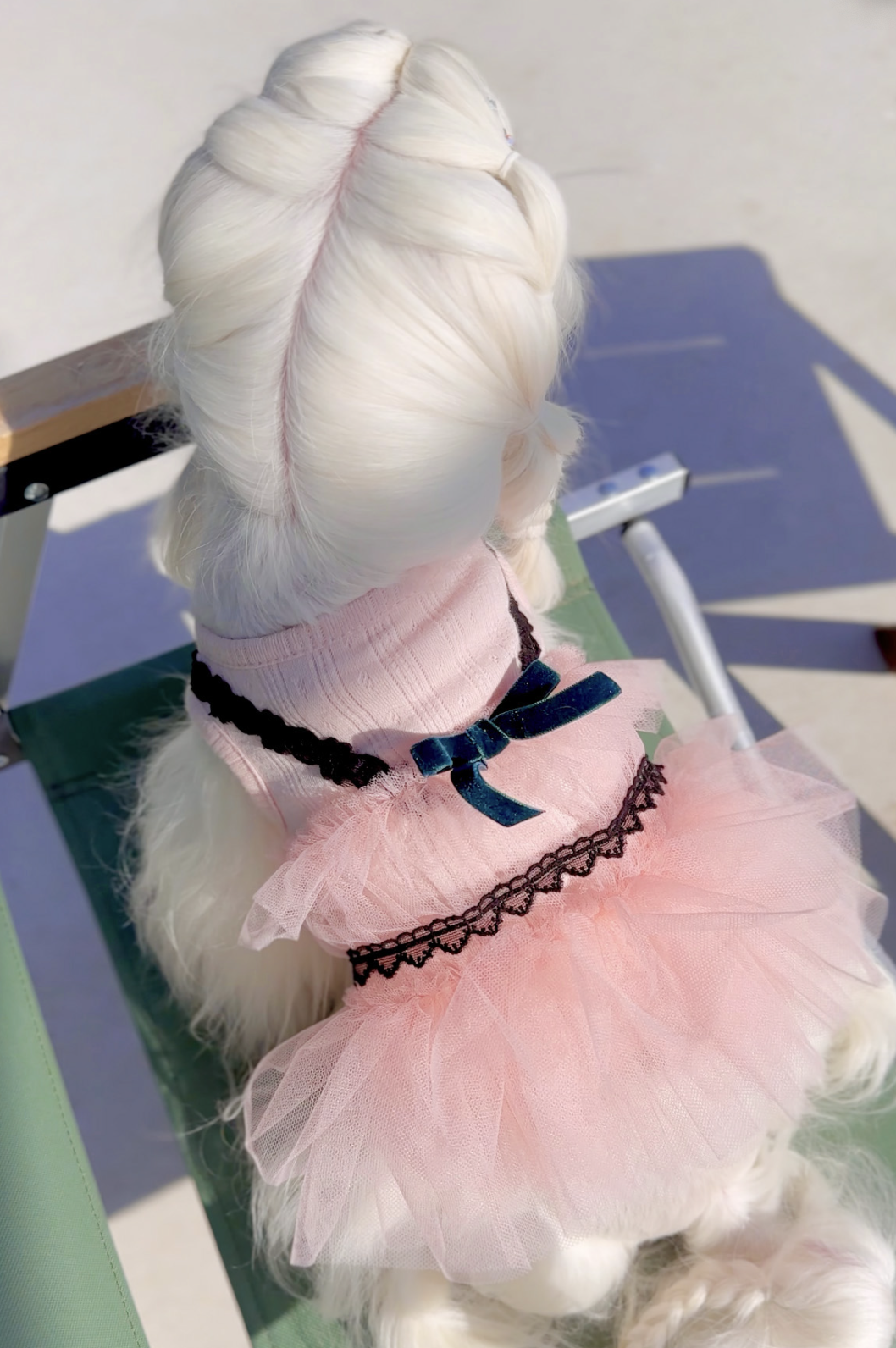 Pink Cropped Bustier Tutu